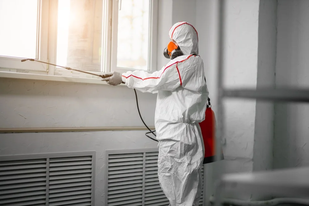 Professional mold remediation services in Raymond, WA